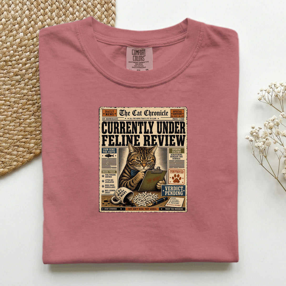 Currently Under Feline Review graphic tee in Brick, folded mockup