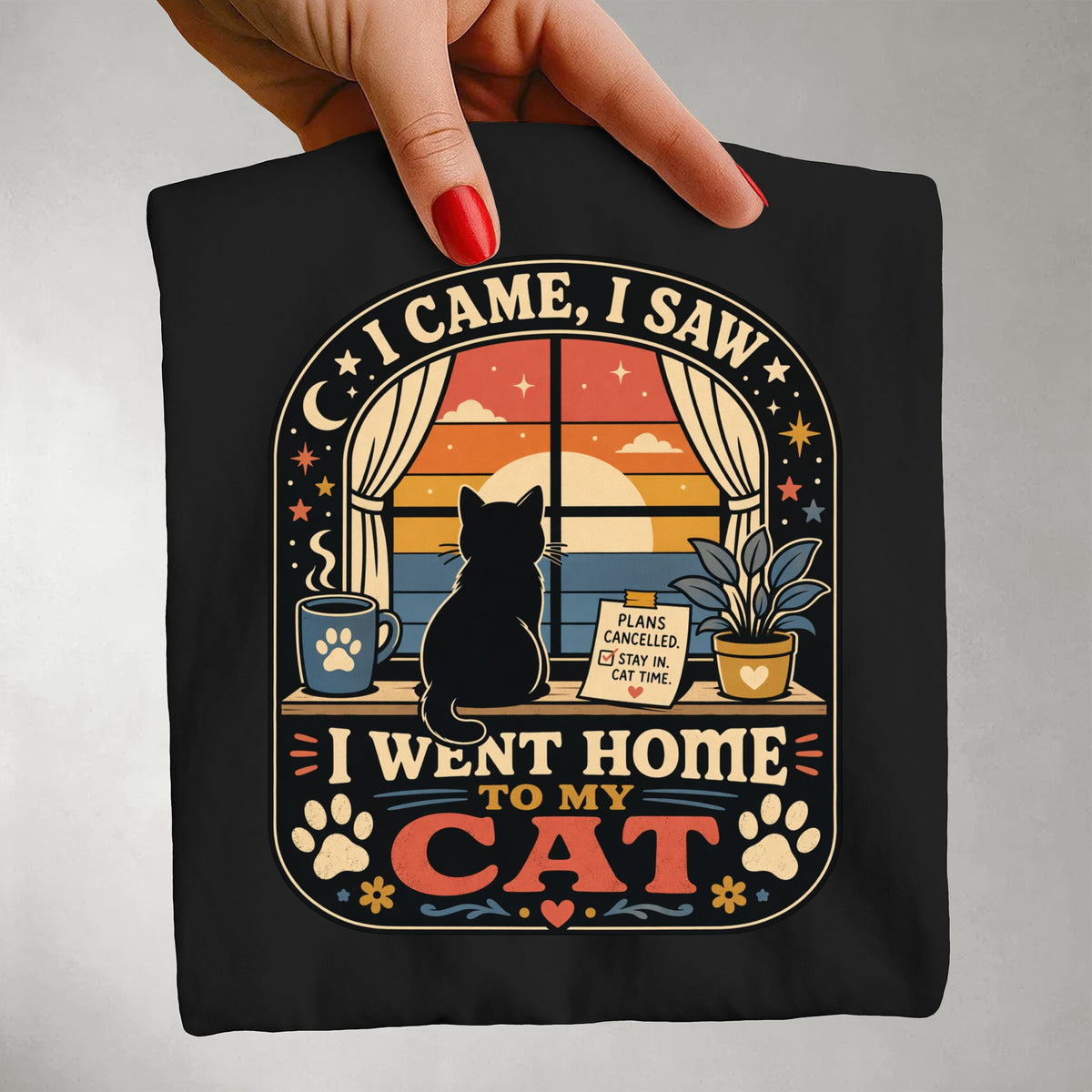 I Came I Saw I Went Home to My Cat graphic tee in Black, folded flat lay