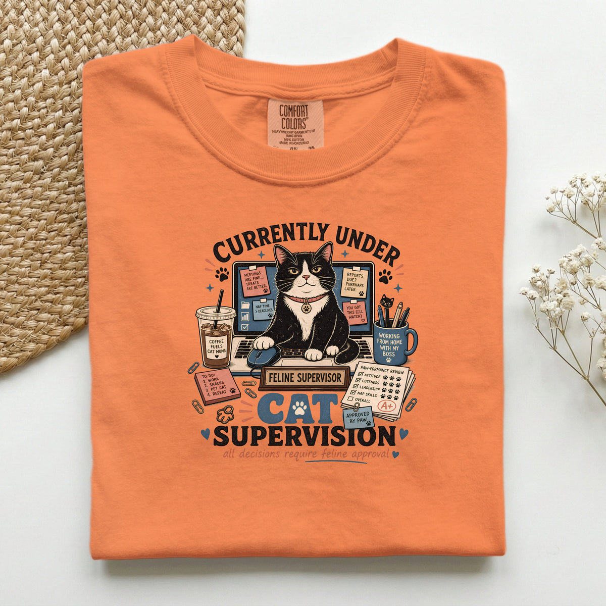 Currently Under Cat Supervision graphic tee in Burnt Orange, folded flat lay