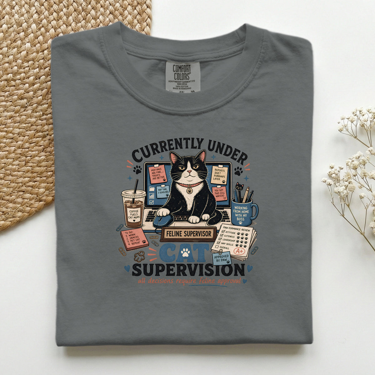 Currently Under Cat Supervision graphic tee in Pepper, folded flat lay