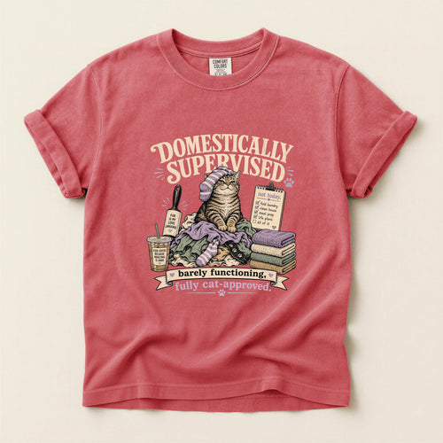 Domestically Supervised graphic tee in Watermelon, folded flat lay