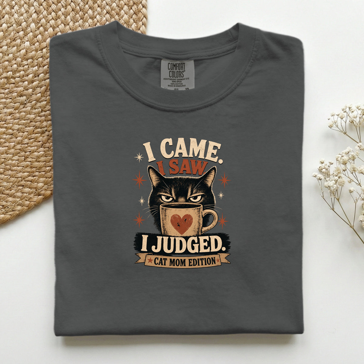 I Came I Saw I Judged graphic tee in Graphite, folded flat lay