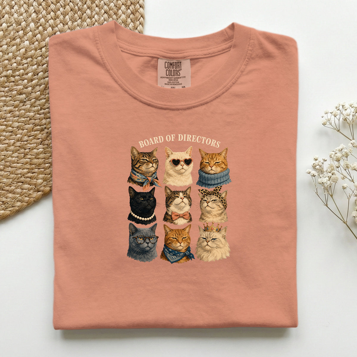 Board Of Directors graphic tee in Terracotta, folded flat lay