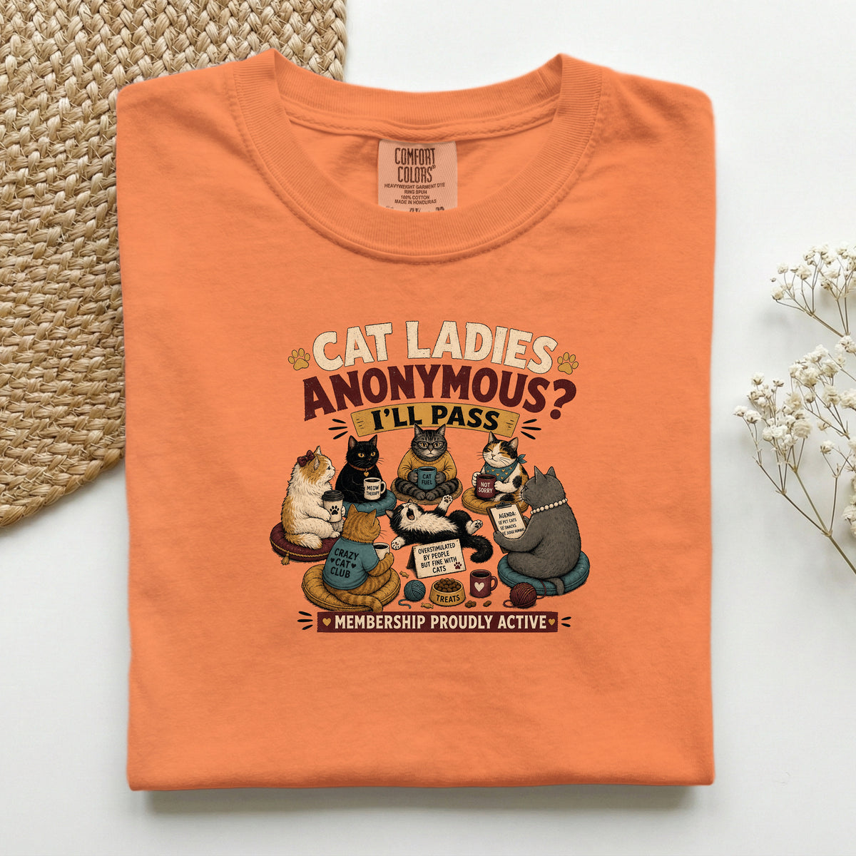 Cat Ladies Anonymous graphic tee in Burnt Orange, folded flat lay