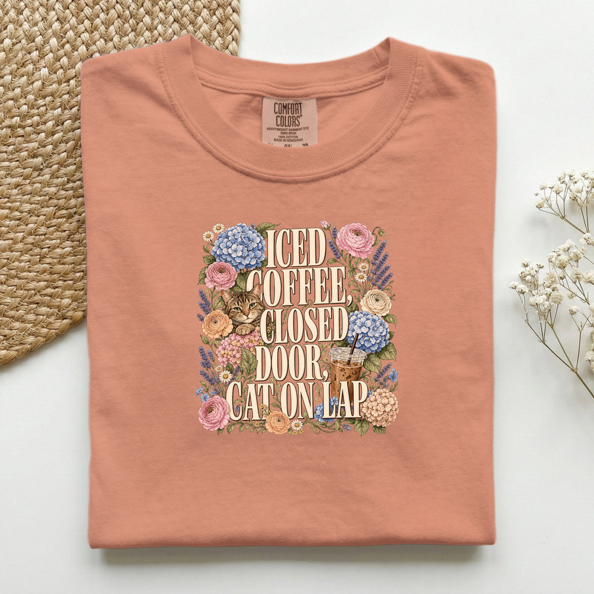 Iced Coffee, Closed Door, Cat On Lap graphic tee in Terracotta, folded flat lay