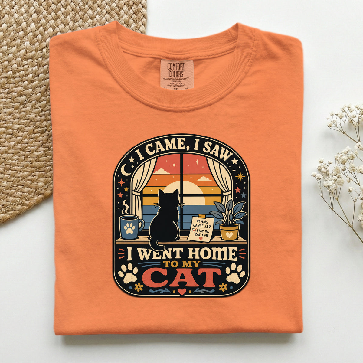 I Came I Saw I Went Home to My Cat graphic tee in Burnt Orange, folded flat lay