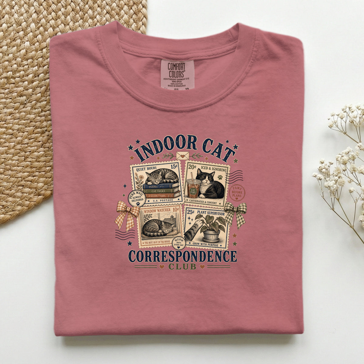 Indoor Cat Correspondence Club graphic tee in Brick, folded flat lay