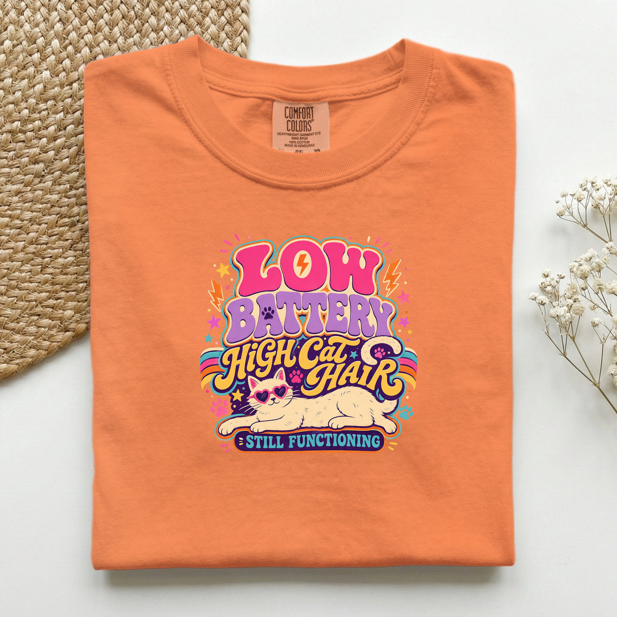 Low Battery High Cat Hair graphic tee in Burnt Orange, folded flat lay