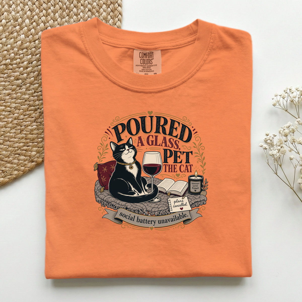 Poured a Glass Pet the Cat graphic tee in Burnt Orange, folded flat lay