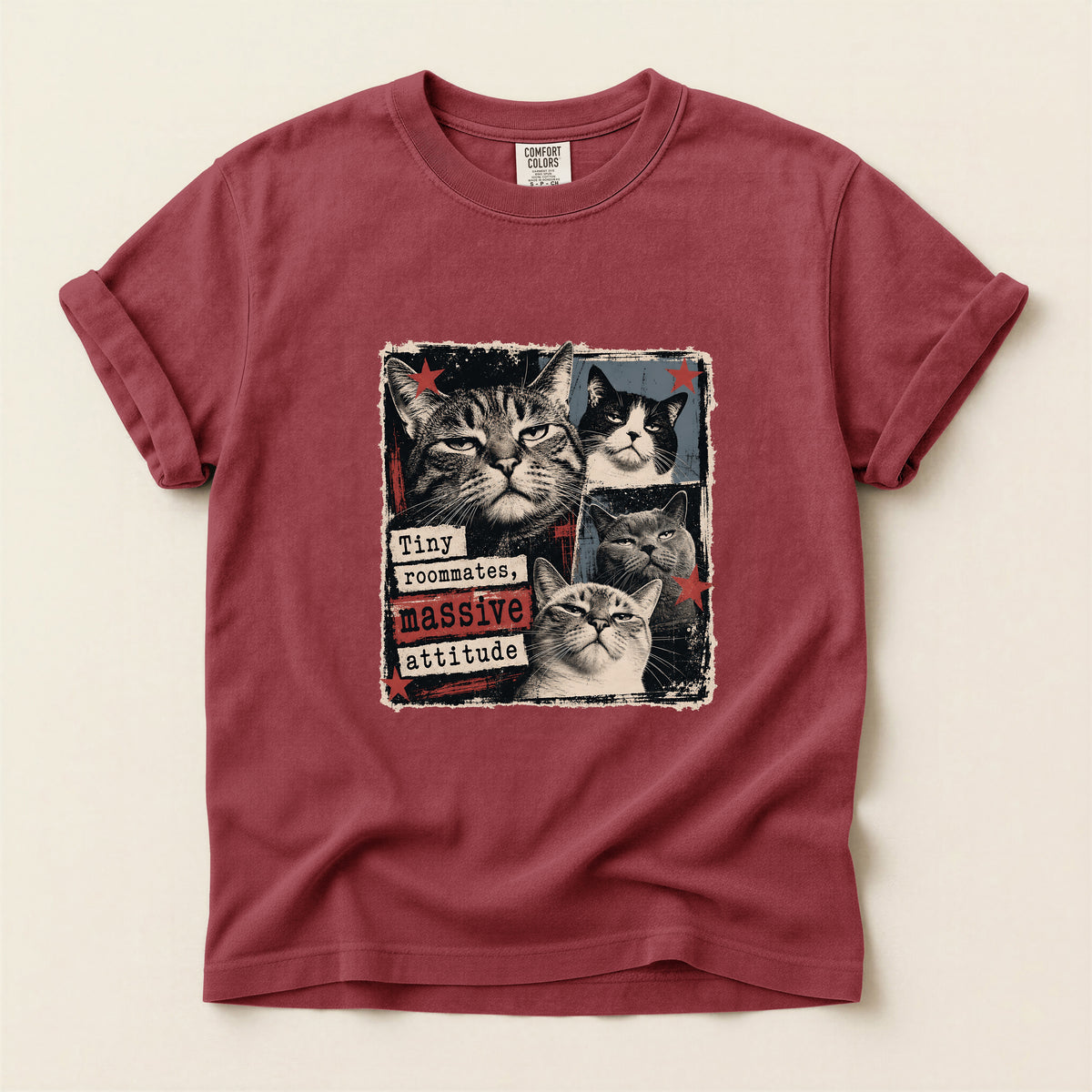 Tiny Roommates Massive Attitude graphic tee in Brick, folded flat lay